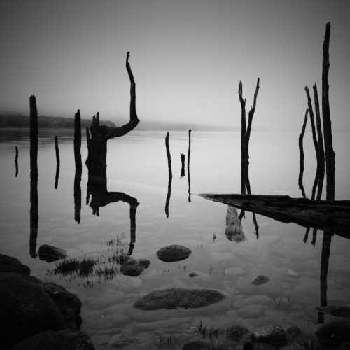 Monowai 600 SQ Photography