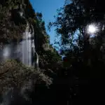 Whispering Falls